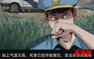 海泽王漫画全集(无弹窗)-海泽王全文阅读