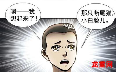 教我国文的王先生免费在线漫画全集完结