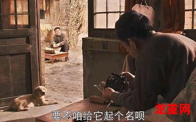 东京狗(免费完整版)(无删减全文在线阅读）